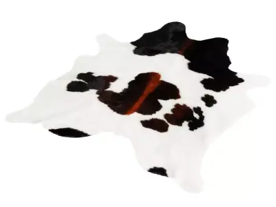Chocolate and White Cowhide Rug 3D model