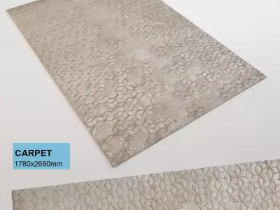 Carpet rug with pattern 3D model