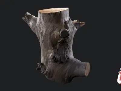 Silver Logs Pack  01- Stonelake3D Low-poly 3D model