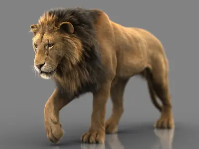  Lion 4 FUR ANIMATED 