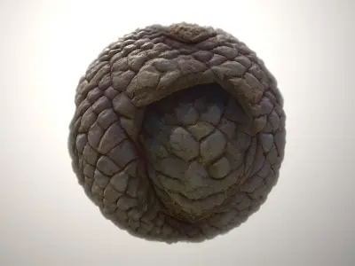 Material Skin Monster 49 Seamless PBR Texture Texture