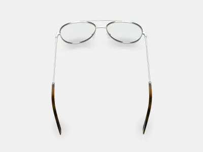 York Eyeglasses in Polished Silver 3D model