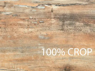 Woods Collection 02 Hi-Res for Architecture Texture