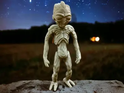 Varginha Alien 3D print model