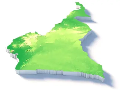 Cameroon Country Terrain 3D model
