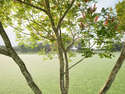 Twinmotion assets Amorpha fruticosa  3D model