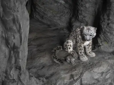 Snow Leopard Mother and Calf in Cave Habitat Fur 