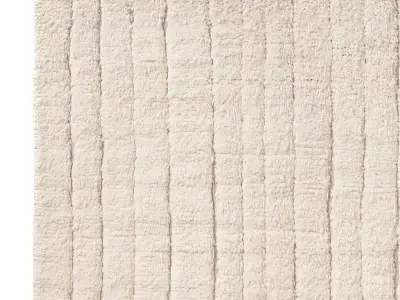 DELARA WOOL RUG 3D model