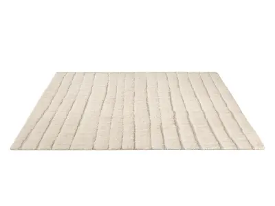 DELARA WOOL RUG 3D model