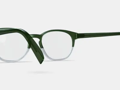 Abner Eyeglasses in Rosemary Crystal Fade Low-poly 3D model