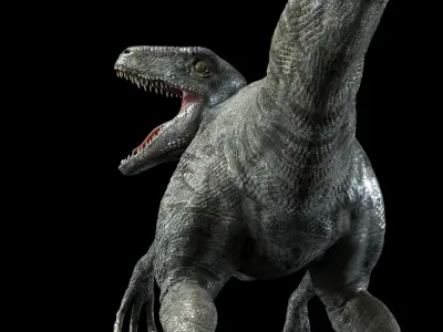  Velociraptor (Rigged) 