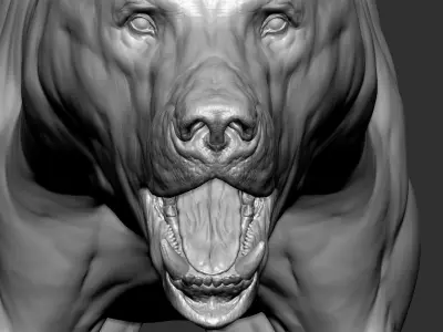  Bear with Facial Expression 