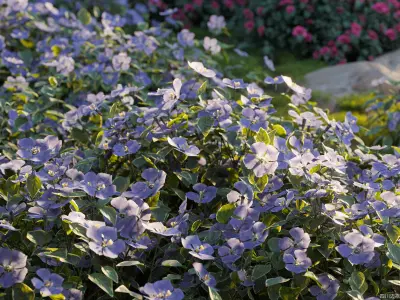 Maxtree Plant Models Vol 86 - Mesh 3D model