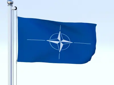 Animated Nato Flag Low-poly 3D model