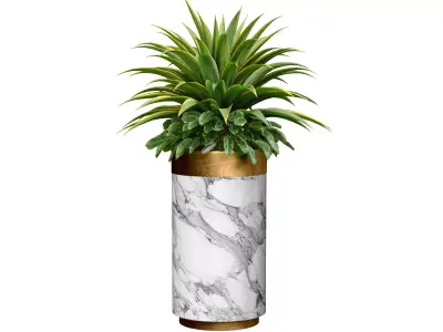 Decorative tropical Agave plant in a modern tall marble vase 3D model