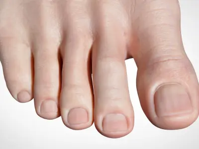  Feet Realistic 