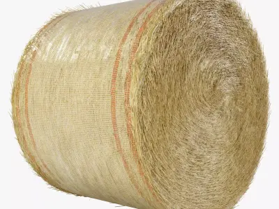 Round Hay Bale 3D model