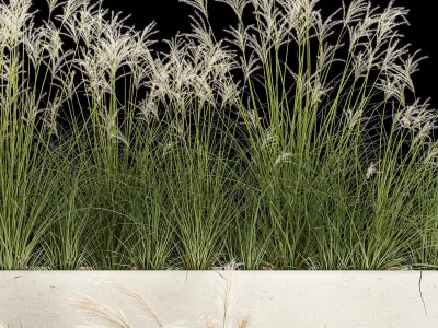 Bushes For Landscape Design Of Outdoor Flowerpots 1132 3D model