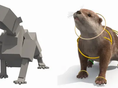  Aquatic Otter Walking Fur Animated Rigged 