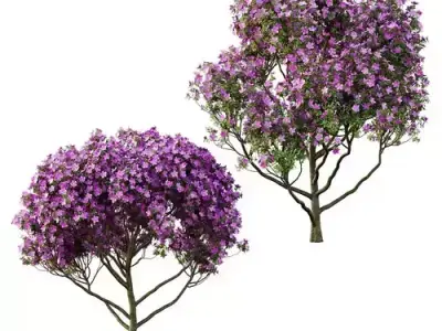 Excellent collection of Outdoor plants 32 Different Models 0036 3D Model Pack