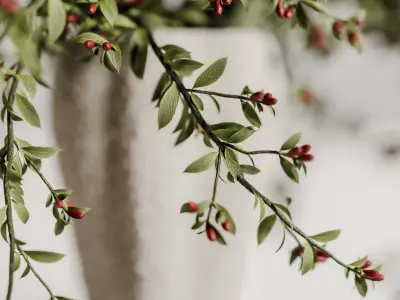 plants bouquet vase 45 3D model