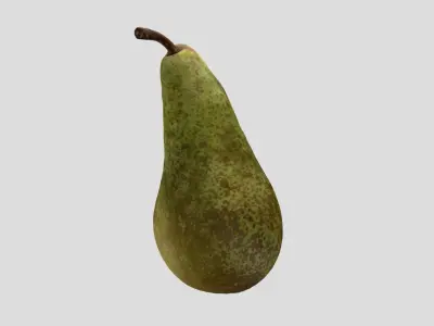 A pear fruit 3D model