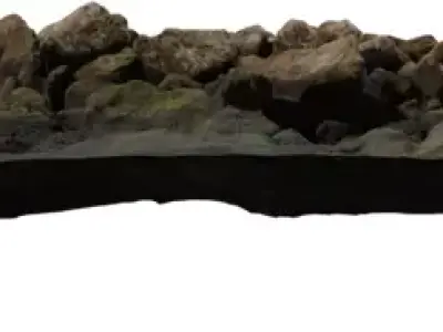 Coastal Rock and Algae Patch Low-poly 3D model