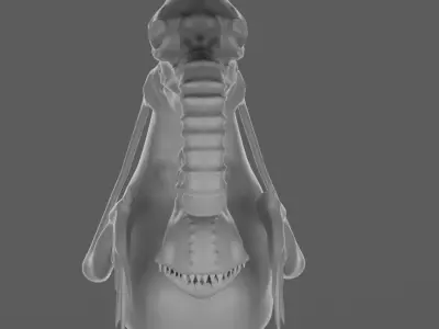 Alien3D HIGH POLY skeleton 3D model