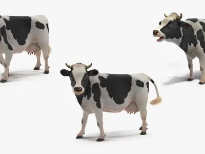 Animated Cow Collection 