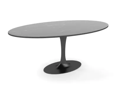 Knoll Saarinen Tulip Oval Coffee Table 3D model