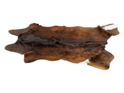Animal skin rug 14 3D model
