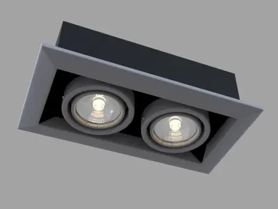 Downlight Metal Modern DL008-2-02-S Maytoni Technical Free 3D model