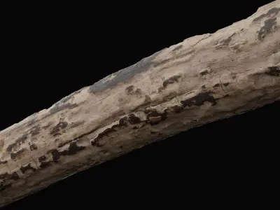 Tree Debris Branch Low-poly 3D model