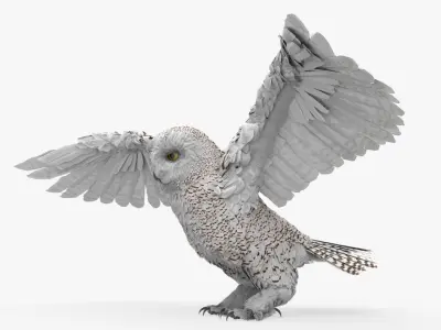 Arctic Snowy Owl Take Off Animated Rigged For Blender 