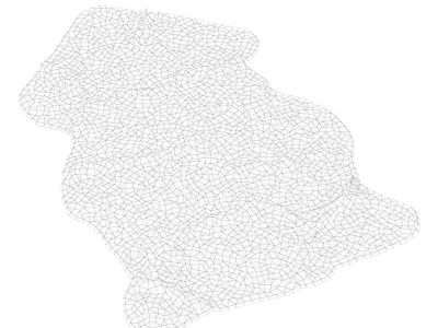 Sheepskin Area Rug 3D model