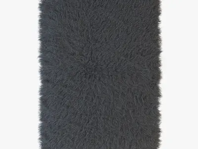 Tibetan sheepskin Dior gray 3D model