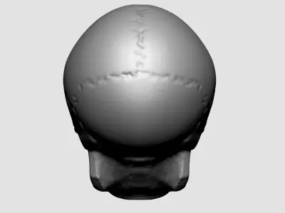 Skull for 3DPrint 3D print model