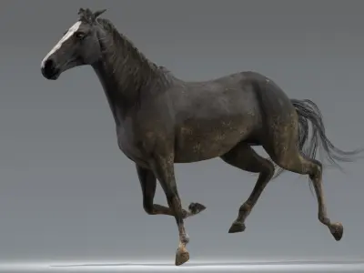  Horse Black Animated 