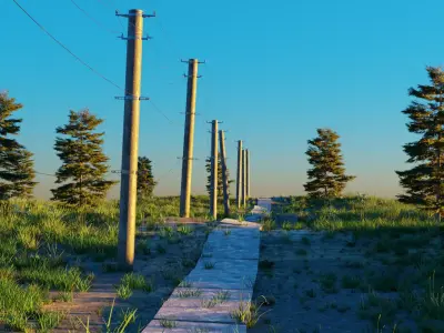 Field road 3D model