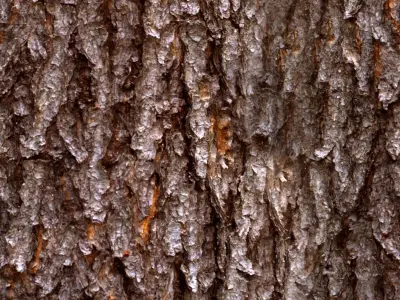 EXTERIOR COOL WEATHER 3D model