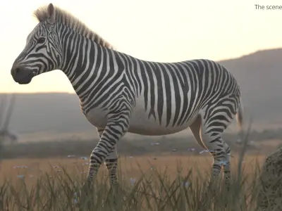  Zebra Wildlife Animal Walking Animated Fur Rigged For Blender 