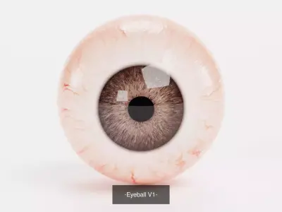 4 Eyeball Collection - Realistic Anatomy 3D Model Pack