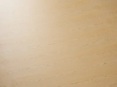 Ash veneer 01 Texture