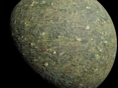 Forest path - 4K PBR BRDF material Texture