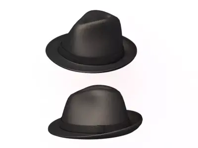 Hat Collection 3D model