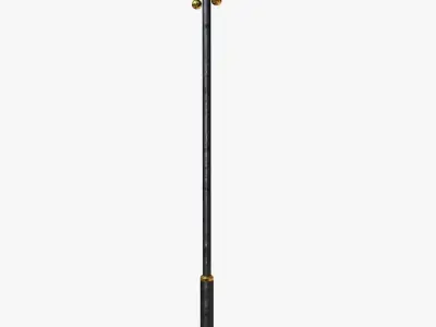 Cast iron street light lamp with 2 luminaries 3D model