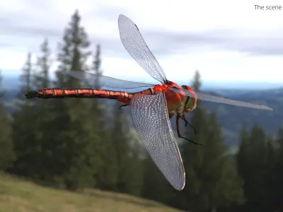  Red Dragonfly Fur Rigged 
