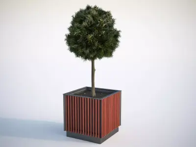 Small tree in a pot 3D model