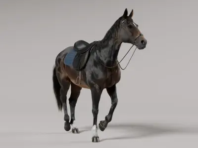  Horse SealBrown Saddled 