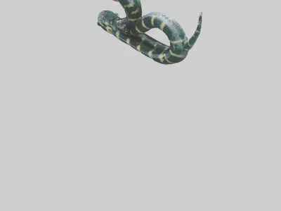 Robot version of a robot snake model 3D model